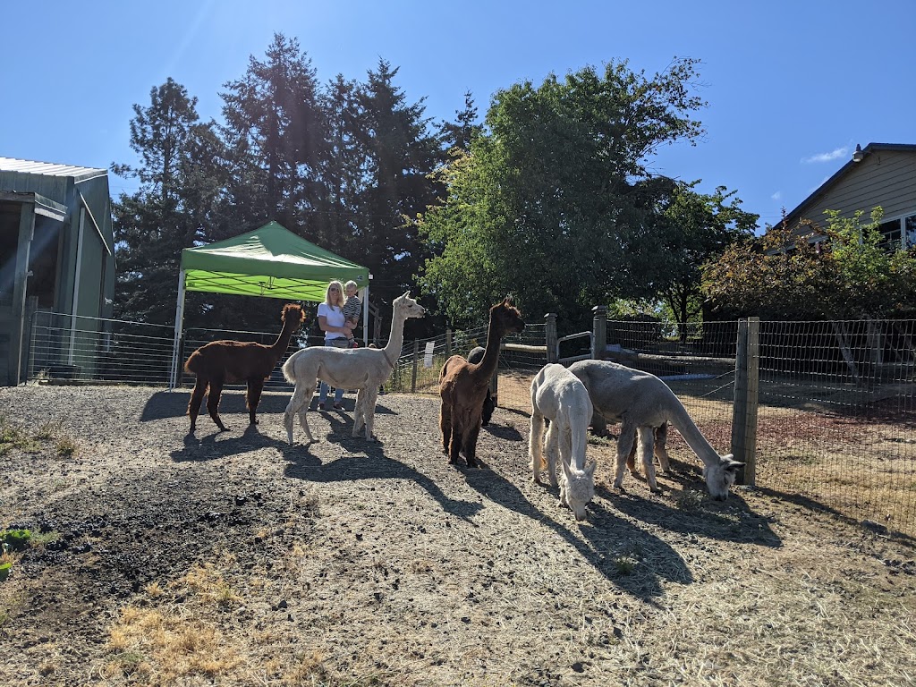 Alpacas of Oregon | 21345 SW Aebischer Rd, Sherwood, OR 97140, USA | Phone: (503) 348-6958