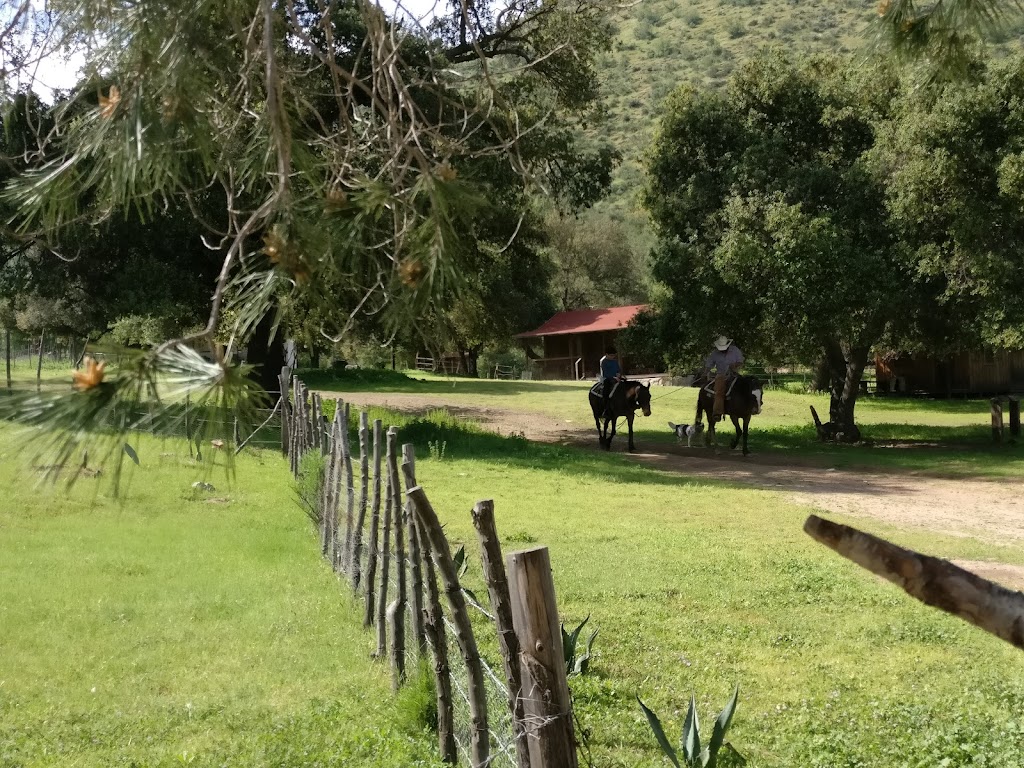 Rancho La Bellota | 22758 Ensenada, B.C., Mexico | Phone: 646 127 4145