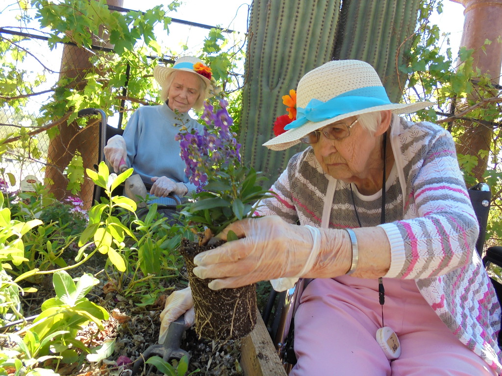 Saguaro Ranch Luxury Assisted Living, LLC | 12301 N Camino Del Plata, Tucson, AZ 85755, USA | Phone: (520) 585-5758