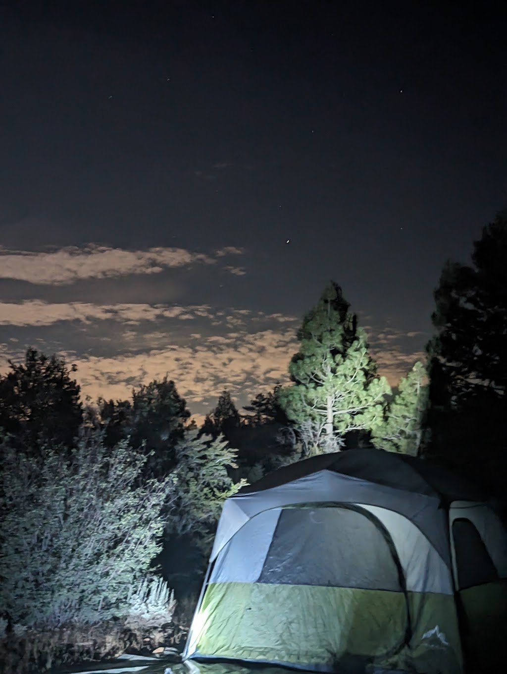 Tanglewood Group Campground | 35540 Holcomb Valley Rd, Big Bear, CA 92314, USA | Phone: (909) 866-3437