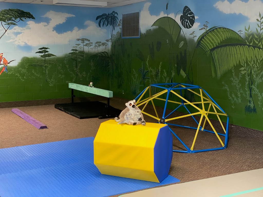 Jungle Gymnastics | 280 Andrews Ave, Center City, MN 55012, USA | Phone: (651) 239-9969