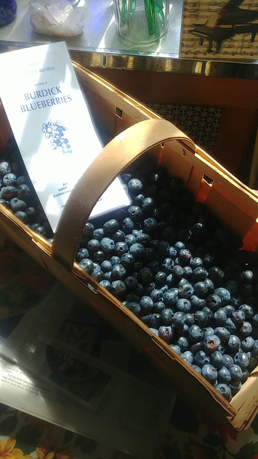 Burdick Blueberries | 8267 Thompson Rd, Cattaraugus, NY 14719, USA | Phone: (716) 257-9760