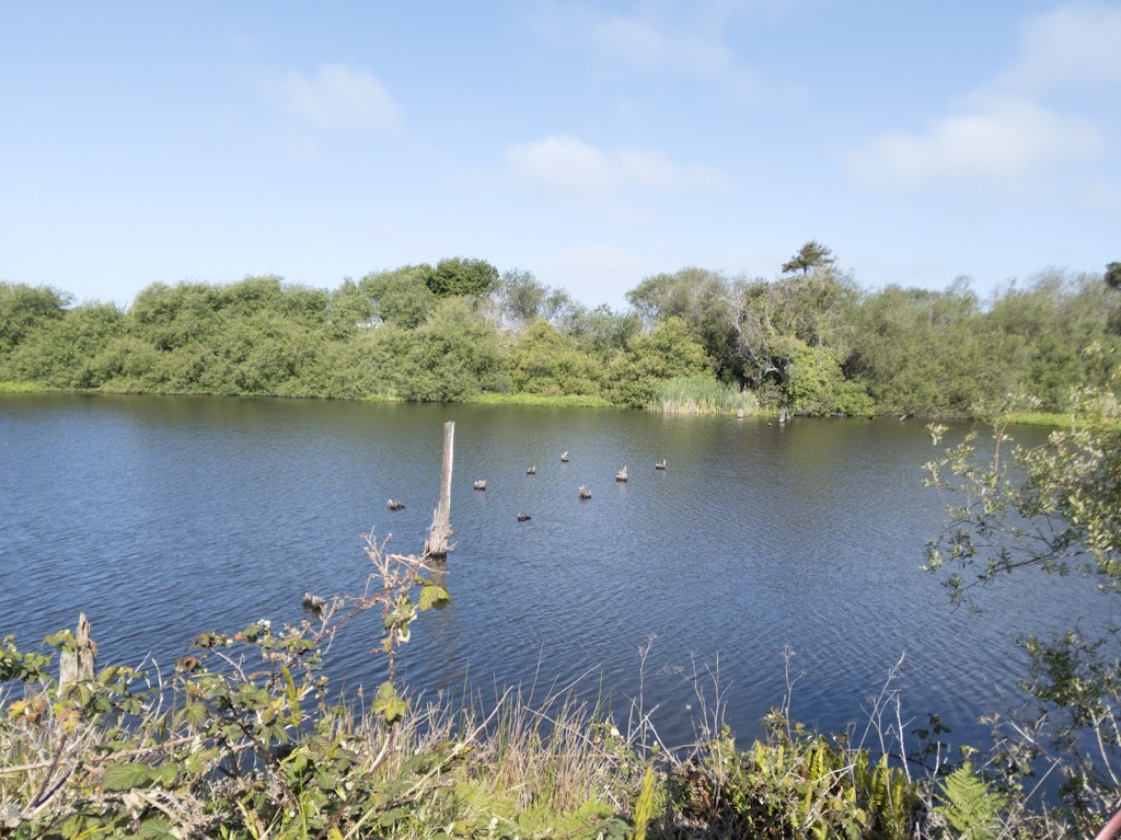 Antonelli Pond | Antonelli Pond, Santa Cruz, CA 95060, USA | Phone: (831) 429-6116