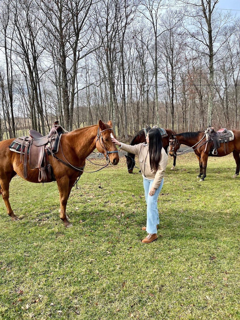 Mountain Valley Farm | 228 Sawchuck Rd, Millerton, NY 12546 | Phone: (212) 888-8545