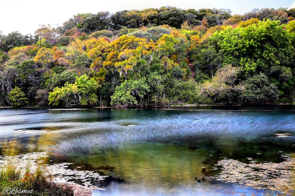 The Meadows Center for Water and the Environment | Aquarena Center Ticket Kiosk, 211 San Marcos Springs Dr, San Marcos, TX 78666, USA | Phone: (512) 245-9200