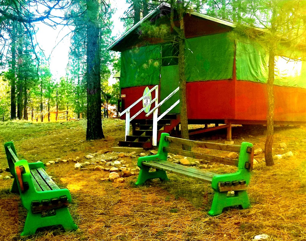 Camp Tanda | 40005 Lakeview Dr, Big Bear Lake, CA 92315, USA | Phone: (909) 500-3688