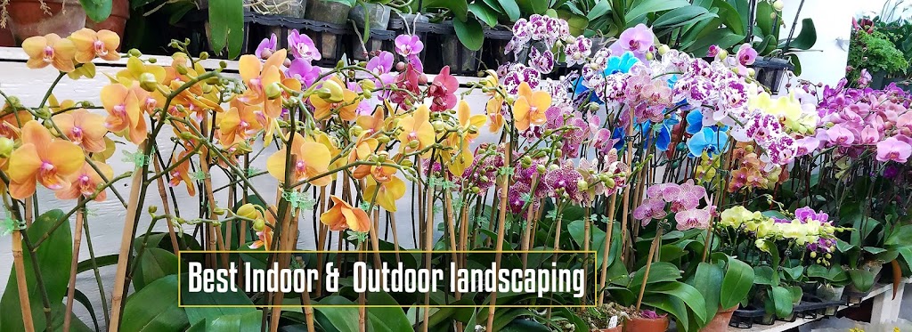 Tropical Plants And Orchids Inc | 106 W 28th St, New York, NY 10001, USA | Phone: (212) 255-7883