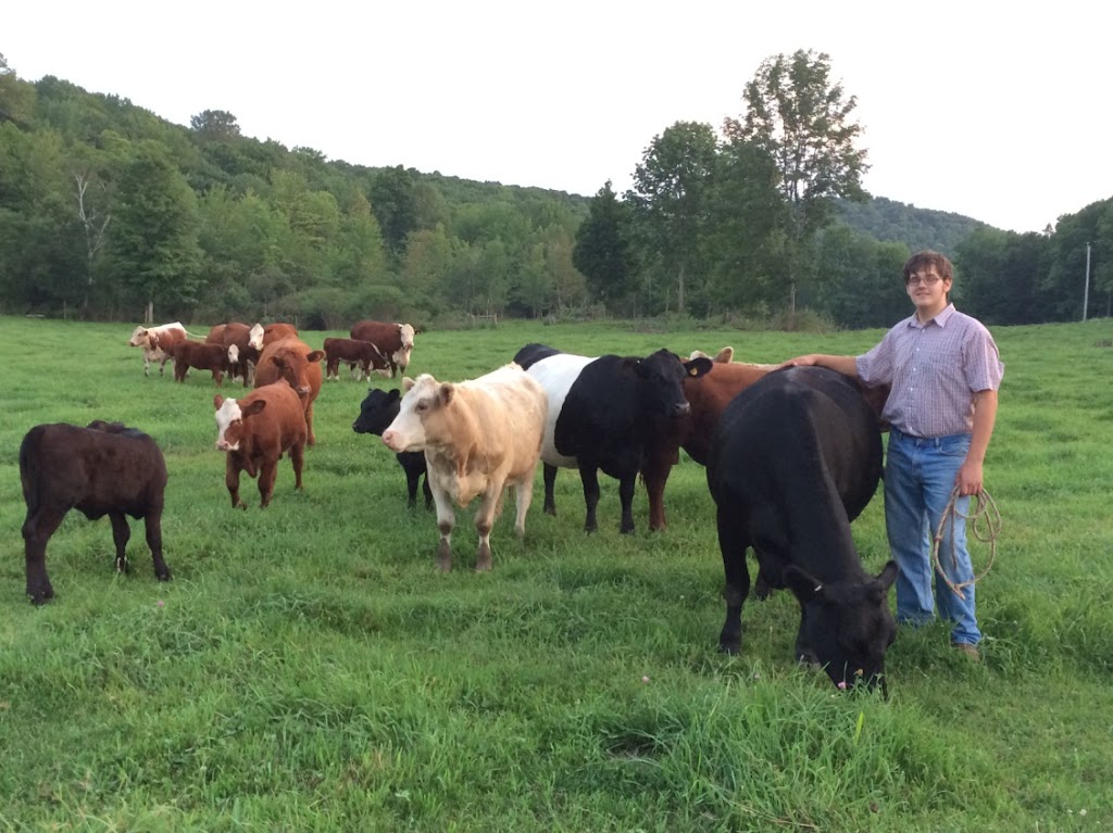 OverEast Family Farm | 480 Beattie Hollow Rd, Salem, NY 12865, USA | Phone: (518) 321-3184