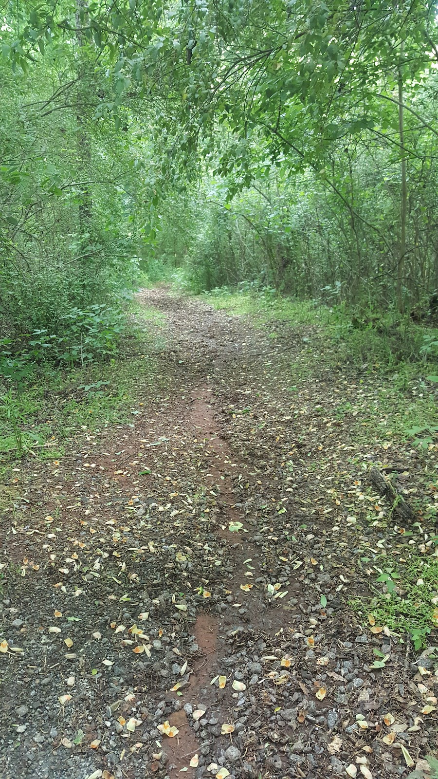 Hickory Trails Park | 3884 Hickory Rd, Canton, GA 30115, USA | Phone: (770) 924-7768