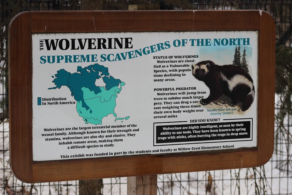 Wolverine Exhibit | 4731 OMalley Rd, Anchorage, AK 99507, USA | Phone: (907) 346-2133