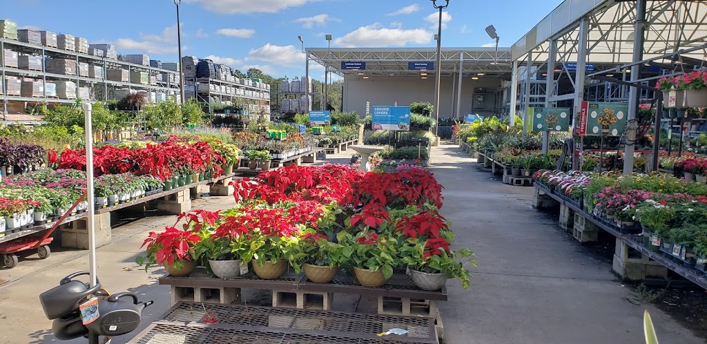 Lowes Garden Center | 6201 Commerce Palms Dr, Tampa, FL 33647, USA | Phone: (813) 558-6760