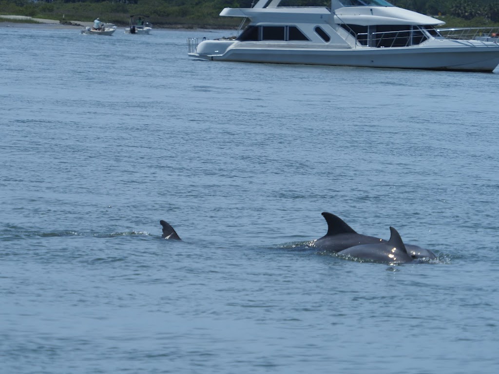 Florida Water Tours | 107 Yacht Club Dr A-19, St. Augustine, FL 32084, USA | Phone: (904) 827-7728