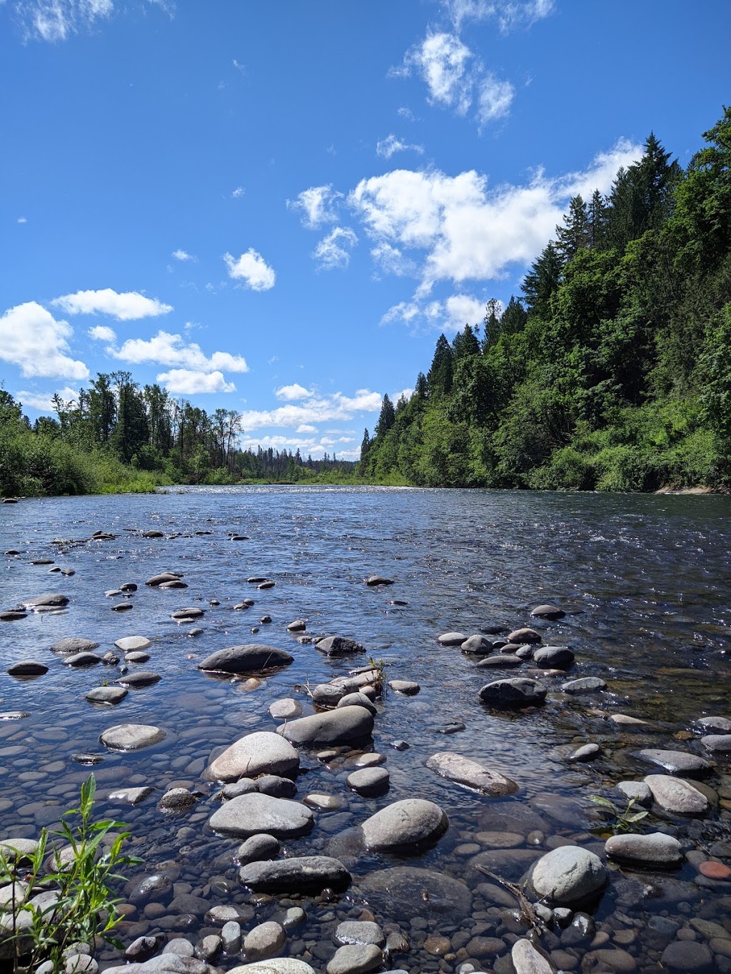 Bonnie Lure State Recreation Area | Bonnie Lure State Recreation Area, Eagle Creek, OR 97022, USA | Phone: (800) 551-6949