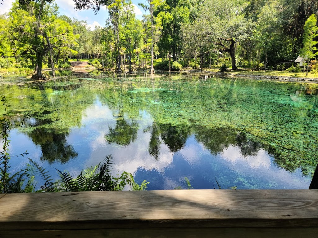 Crystal Springs Preserve | 1609 Crystal Springs Rd, Zephyrhills, FL 33540, USA | Phone: (813) 715-9707