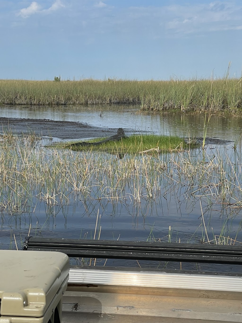 Epic Airboat Tours | N. US Hwy 27 Mile Marker 38, 5, Tamarac, FL 33321, USA | Phone: (954) 439-1070