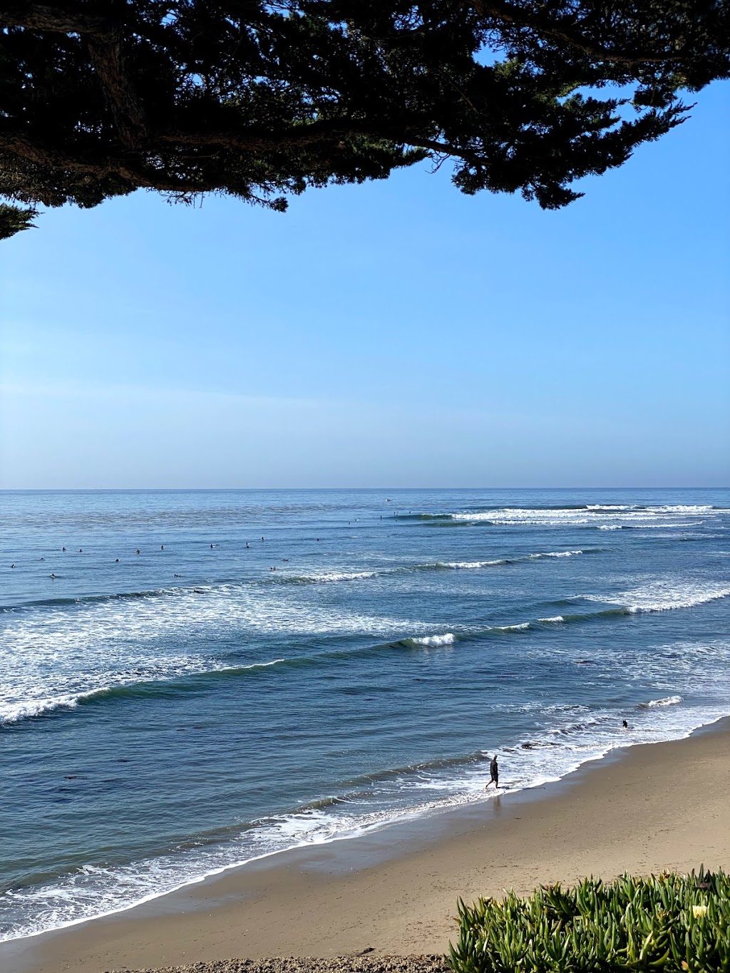 Traveler Surf Club & Coastal Outpost | 747F 41st Ave, Santa Cruz, CA 95062, USA | Phone: (831) 621-2106