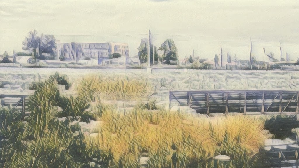 Westminster Station Pond | R0100116, Denver, CO 80221, USA | Phone: (303) 658-2400 Westminster Station Pond | R0100116, Denver, CO 80221, USA | Phone: (303) 658-2400