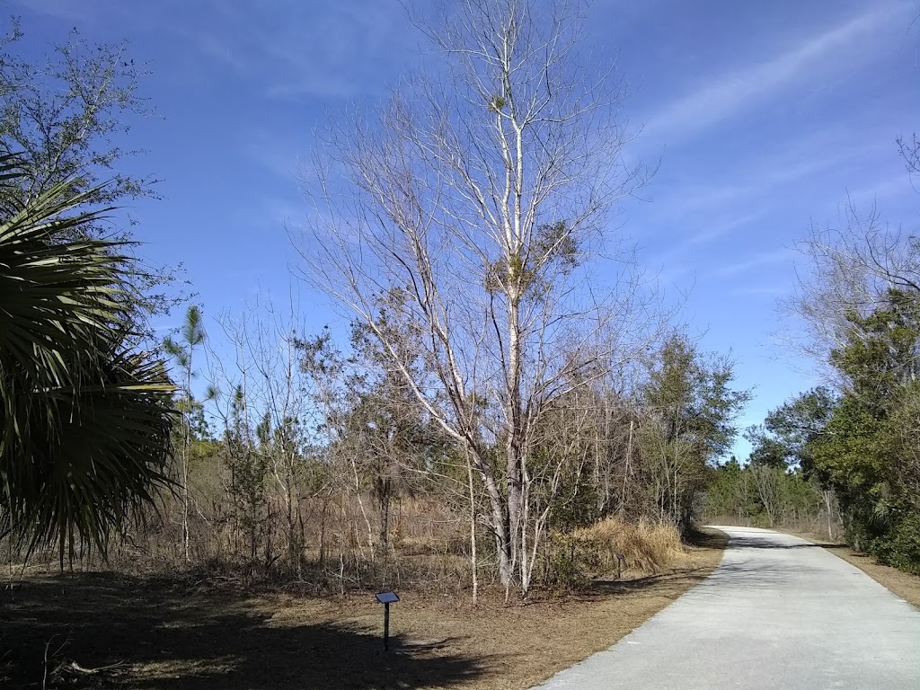 Marjorie Harris Carr Cross Florida Greenway Park | 8282 SE Hwy 314, Ocala, FL 34470, USA | Phone: (352) 671-8560