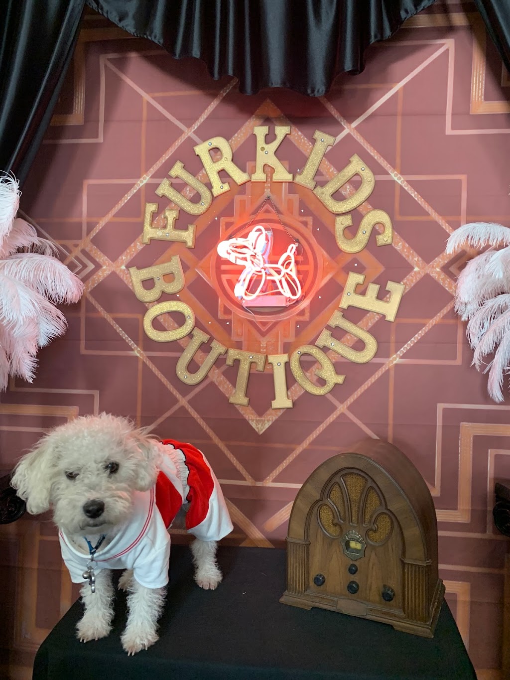 FurKids Boutique | 11862 S Prairie Ave Unit A, Hawthorne, CA 90250, USA | Phone: (310) 651-0267 FurKids Boutique | 11862 S Prairie Ave Unit A, Hawthorne, CA 90250, USA | Phone: (310) 651-0267