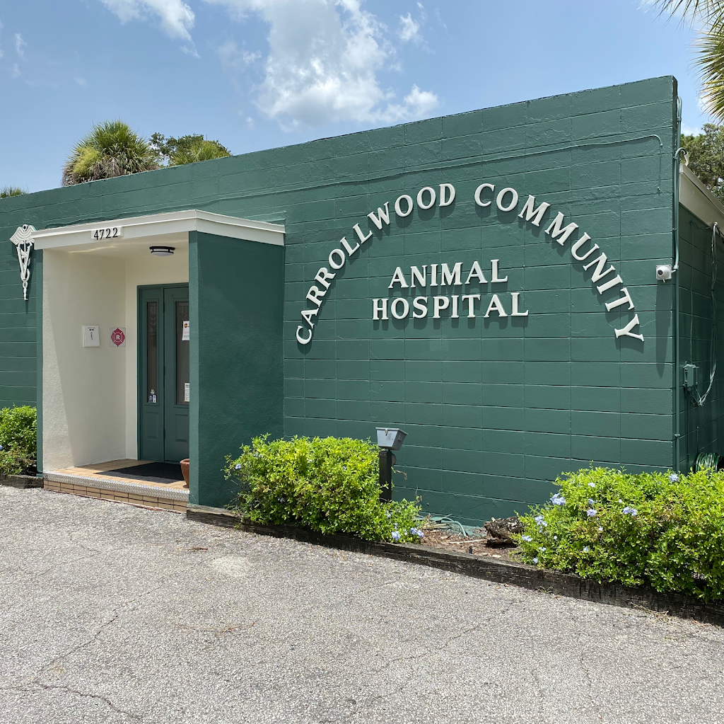 Carrollwood Community Animal Hospital | 4227 Gunn Hwy, Tampa, FL 33618, USA | Phone: (813) 962-1010