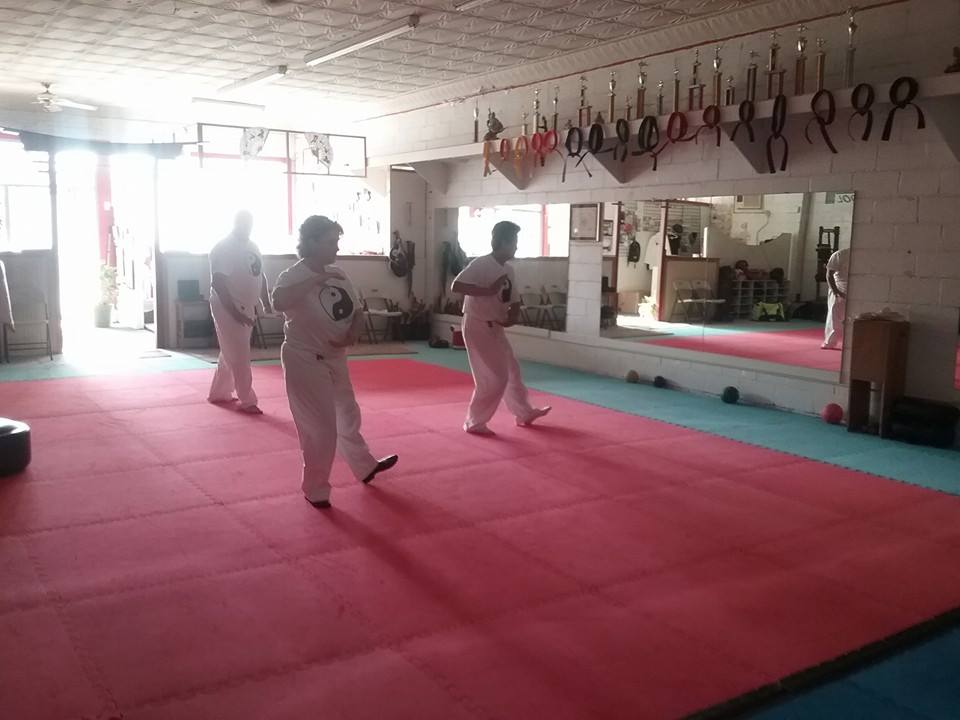 Virginia Tae Kwon Do Institute LLC | 2203 Boulevard, Colonial Heights, VA 23834, USA | Phone: (804) 520-2290