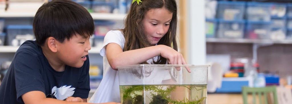 Phillips Brooks School | 2245 Avy Ave, Menlo Park, CA 94025, USA | Phone: (650) 854-4545 Phillips Brooks School | 2245 Avy Ave, Menlo Park, CA 94025, USA | Phone: (650) 854-4545