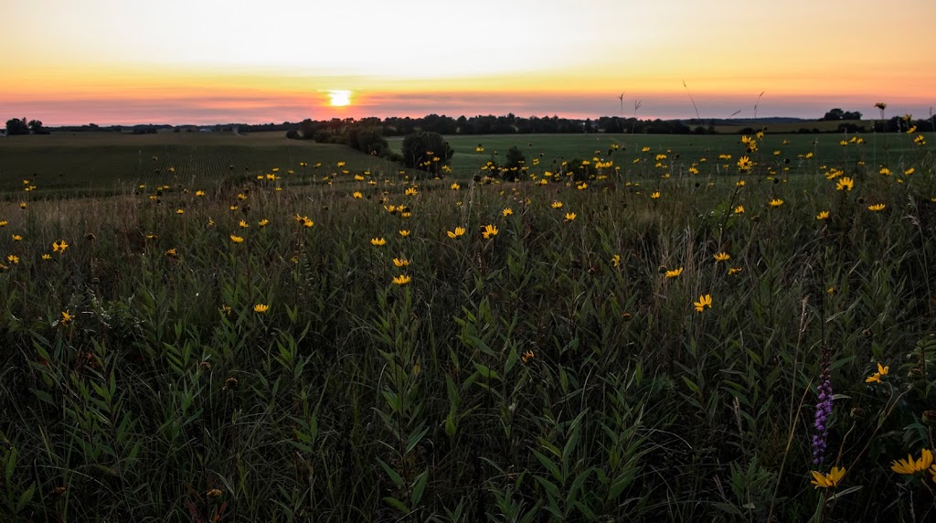 Smith-Reiner Drumlin Prairie State Natural Area | Dane, Cambridge, WI 53523, USA | Phone: (608) 266-2621