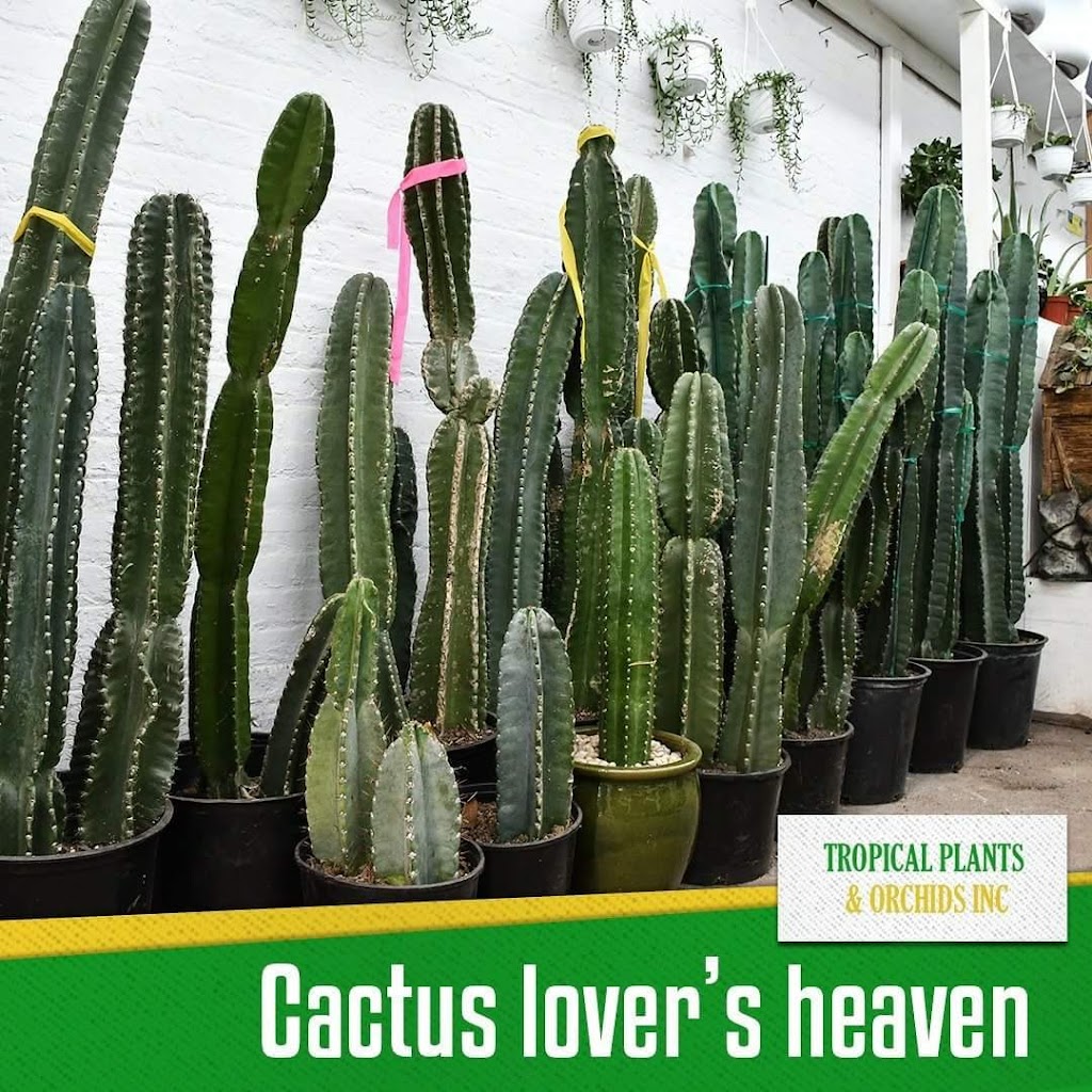 Tropical Plants And Orchids Inc | 106 W 28th St, New York, NY 10001, USA | Phone: (212) 255-7883