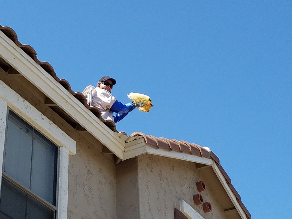 Phoenix Bee Removal | 9665 E Del Monte Ave, Gold Canyon, AZ 85118, USA | Phone: (480) 612-1620