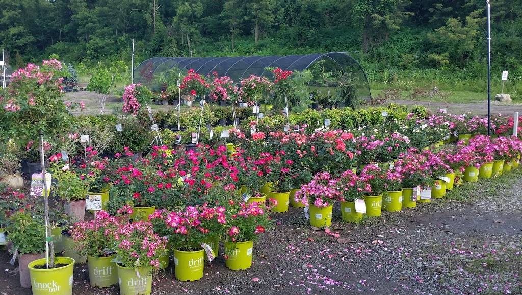 Grandview Nurseries, Inc. | 119 Tolvinski Lane, Irwin, PA 15642, USA | Phone: (724) 446-7673