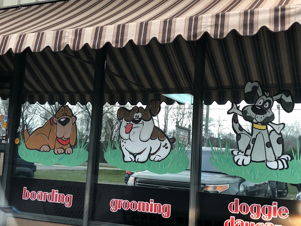 Houndstooth Grooming Boarding Doggie Daycare | 531 W Baddour Pkwy, Lebanon, TN 37087 | Phone: (615) 453-9090