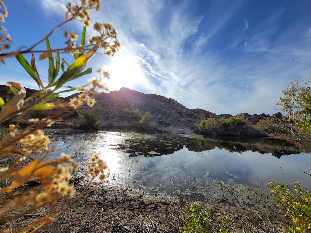 Hueco Tanks State Park & Historic Site | 6900 Hueco Tanks Road No. 1, El Paso, TX 79938, USA | Phone: (915) 857-1135