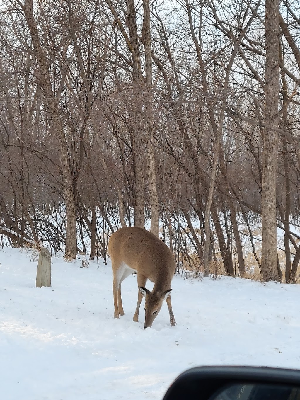 Lake Manawa State Park | 1100 S Shore Dr, Council Bluffs, IA 51501 | Phone: (712) 366-0220