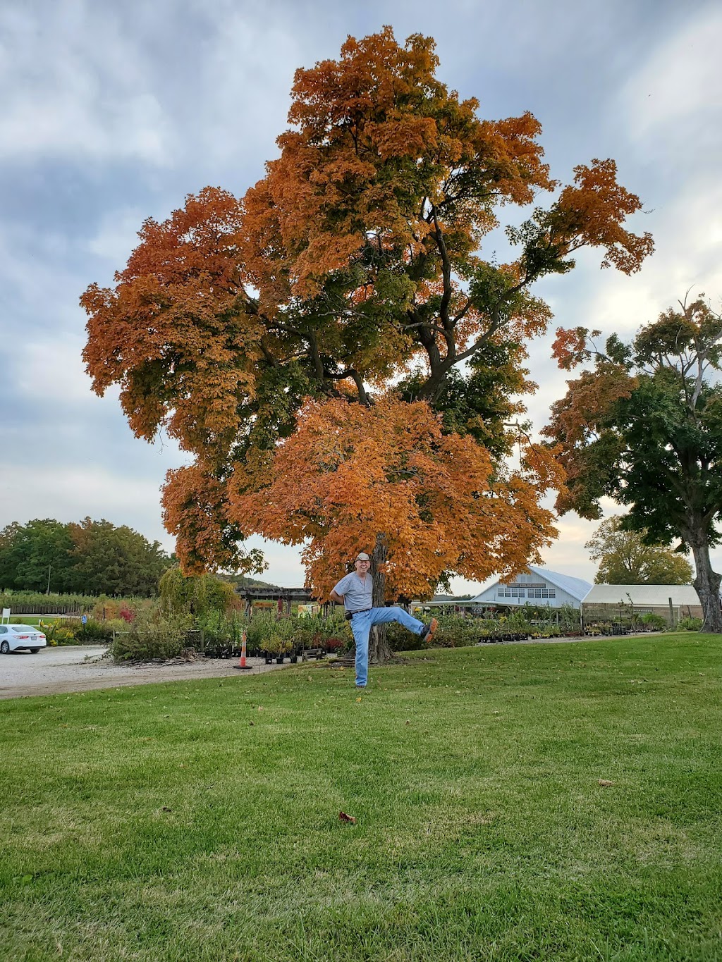 Forrest Keeling Nursery | 88 Forrest Keeling Ln, Elsberry, MO 63343, USA | Phone: (573) 898-5571