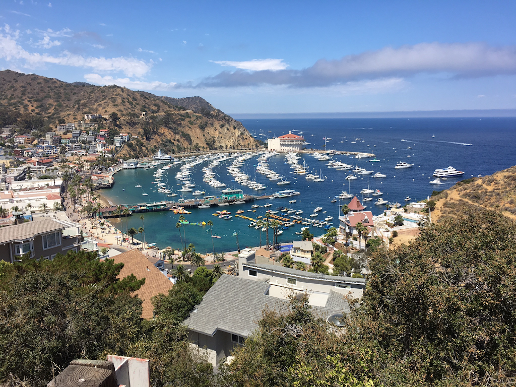 Catalina Island Visitor Center | 1 Green Pleasure Pier, Avalon, CA 90704, USA | Phone: (310) 510-1520