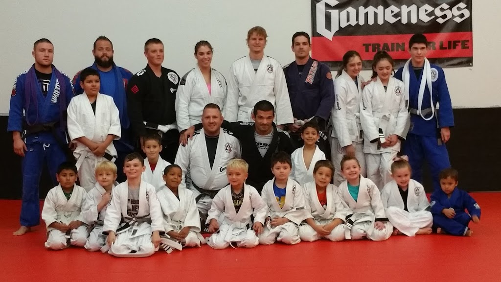 316 BJJ - Rockwall Jiu Jitsu Self Defense Martial Arts | 1407 S Goliad St, Rockwall, TX 75087, USA | Phone: (972) 640-8863