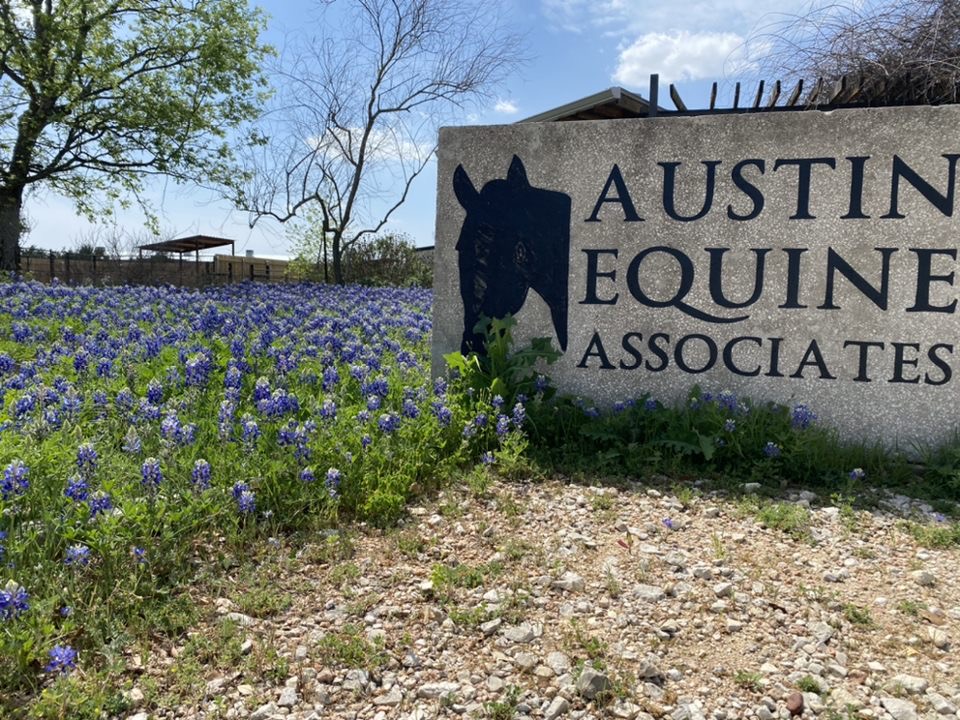 Austin Equine Hospital | 20640 Ranch to Market Rd 150, Driftwood, TX 78619, USA | Phone: (512) 858-0058