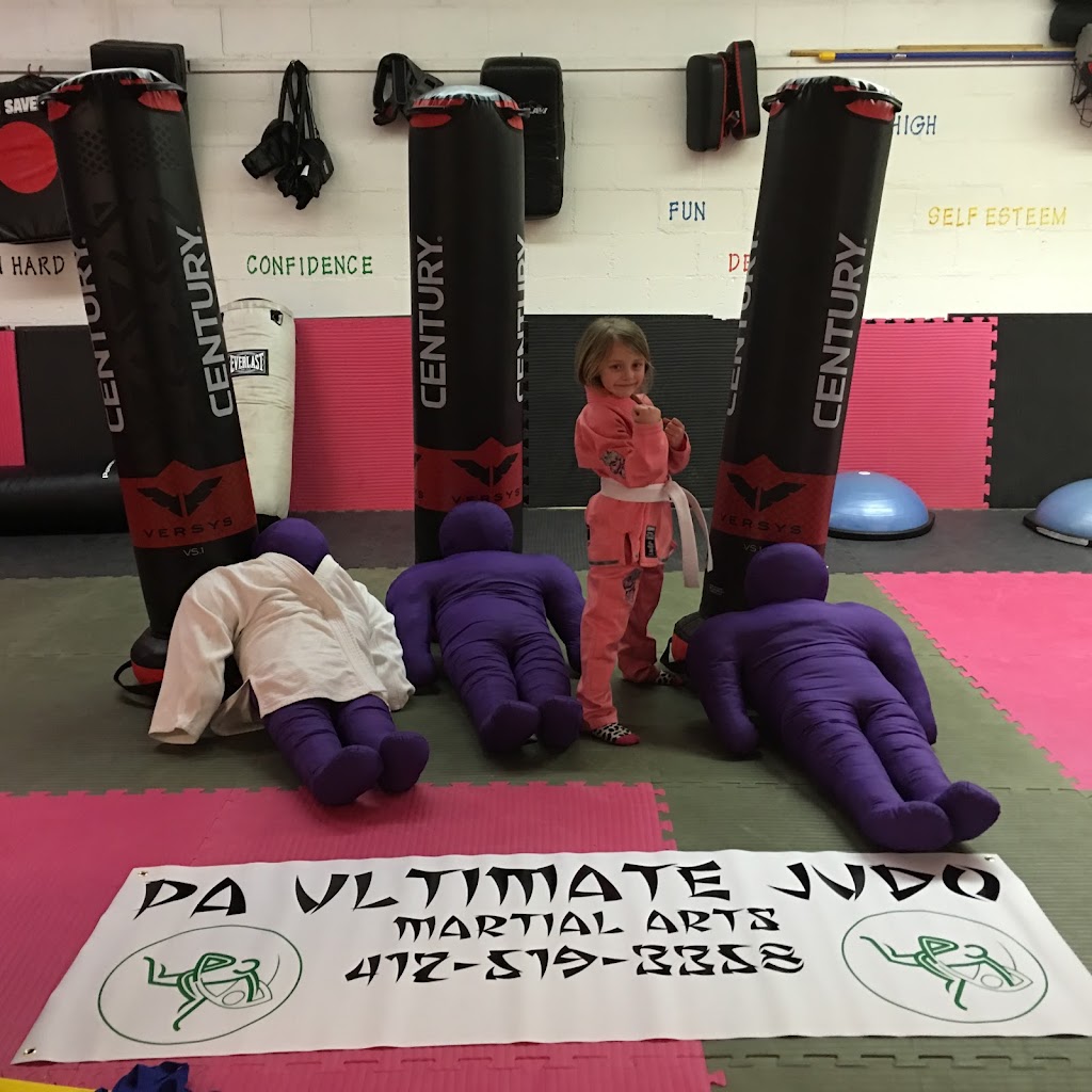 PA. Ultimate Judo | 4004 Saw Mill Run Blvd, Pittsburgh, PA 15227, USA | Phone: (412) 482-7494