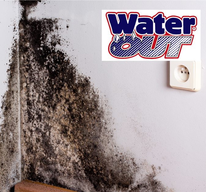 Americlean/Water Out | 2315 Southyard Ct, Fort Wayne, IN 46818 | Phone: (260) 250-2793