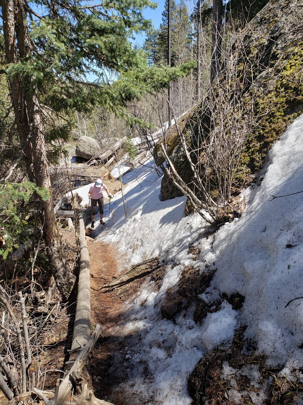 Catamount Trailhead | 11195 Hondo Ave, Green Mountain Falls, CO 80819, USA | Phone: (719) 685-5089