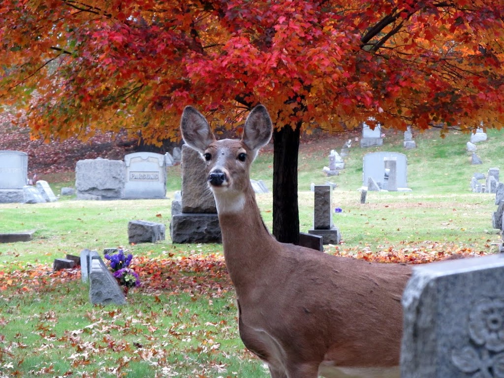 Mount Rose Cemetery | 2 North, Jefferson Ave, Moundsville, WV 26041, USA | Phone: (304) 845-5559