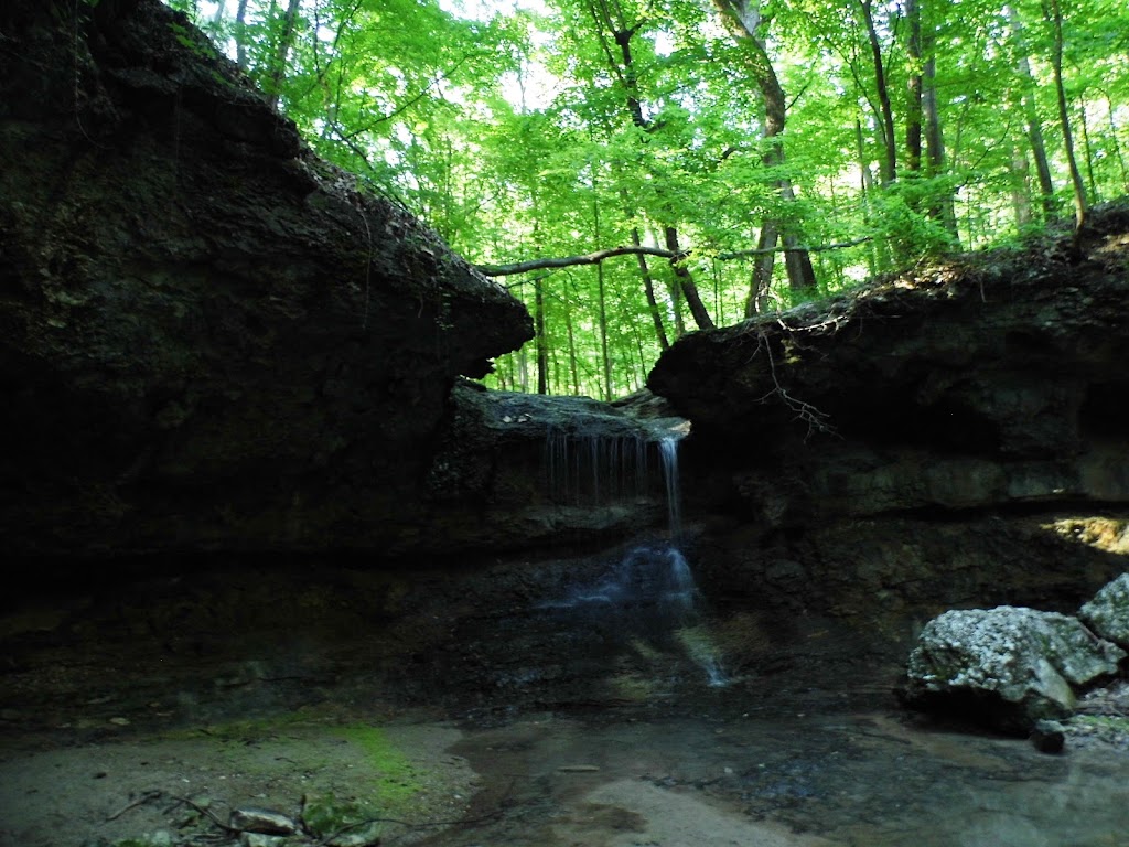 John M Olin Nature Preserve (Nature Institute) | 2213 S Levis Ln, Godfrey, IL 62035 | Phone: (618) 466-9930