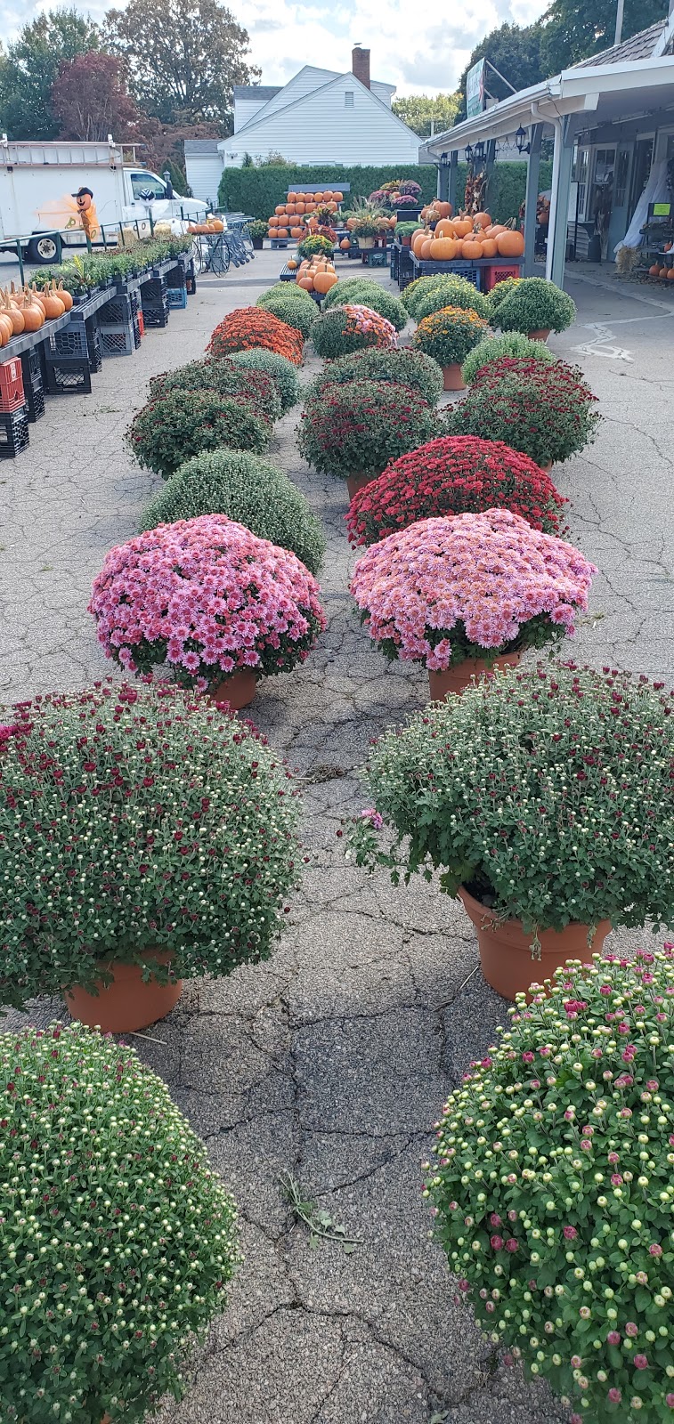 Nessrallas of Avon - Greenhouse and Garden Center | 719 W Main St, Avon, MA 02322, USA | Phone: (508) 587-4229