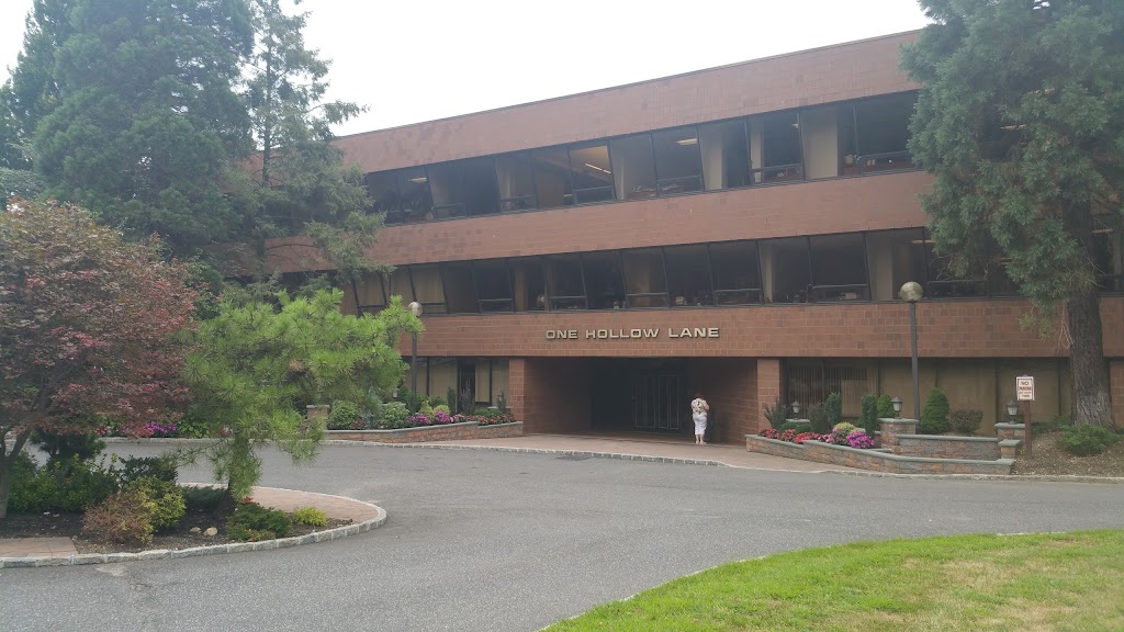 NYU Langone Long Island Cardiac Care | 1 Hollow Ln #103, New Hyde Park, NY 11042, USA | Phone: (516) 869-5400