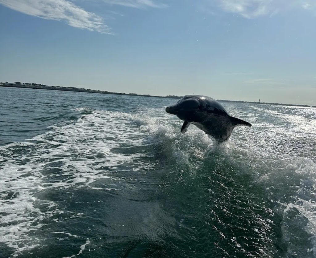 Captain Fins Sightseeing and Boat Tours | Pick up location, 1325 Gulf Dr S, Bradenton Beach, FL 34217, USA | Phone: (941) 920-2573