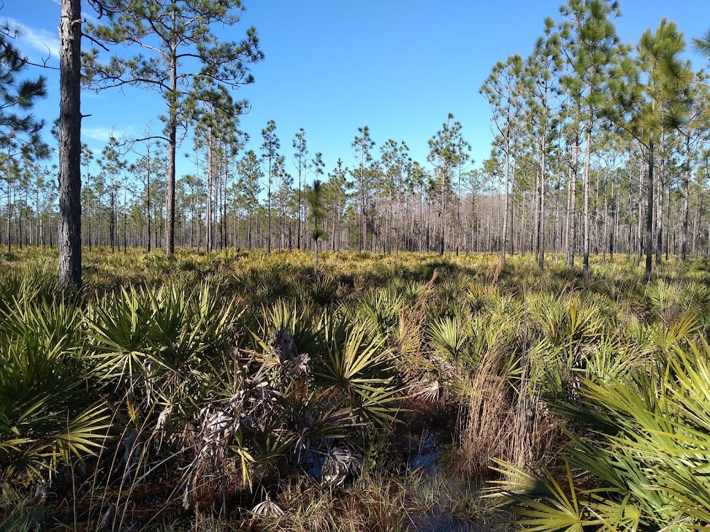 Suncoast Trail MM 22.9 - at Starkey Park Bike Trail | Suncoast Trail, Land O Lakes, FL 34638, USA | Phone: (727) 834-3247