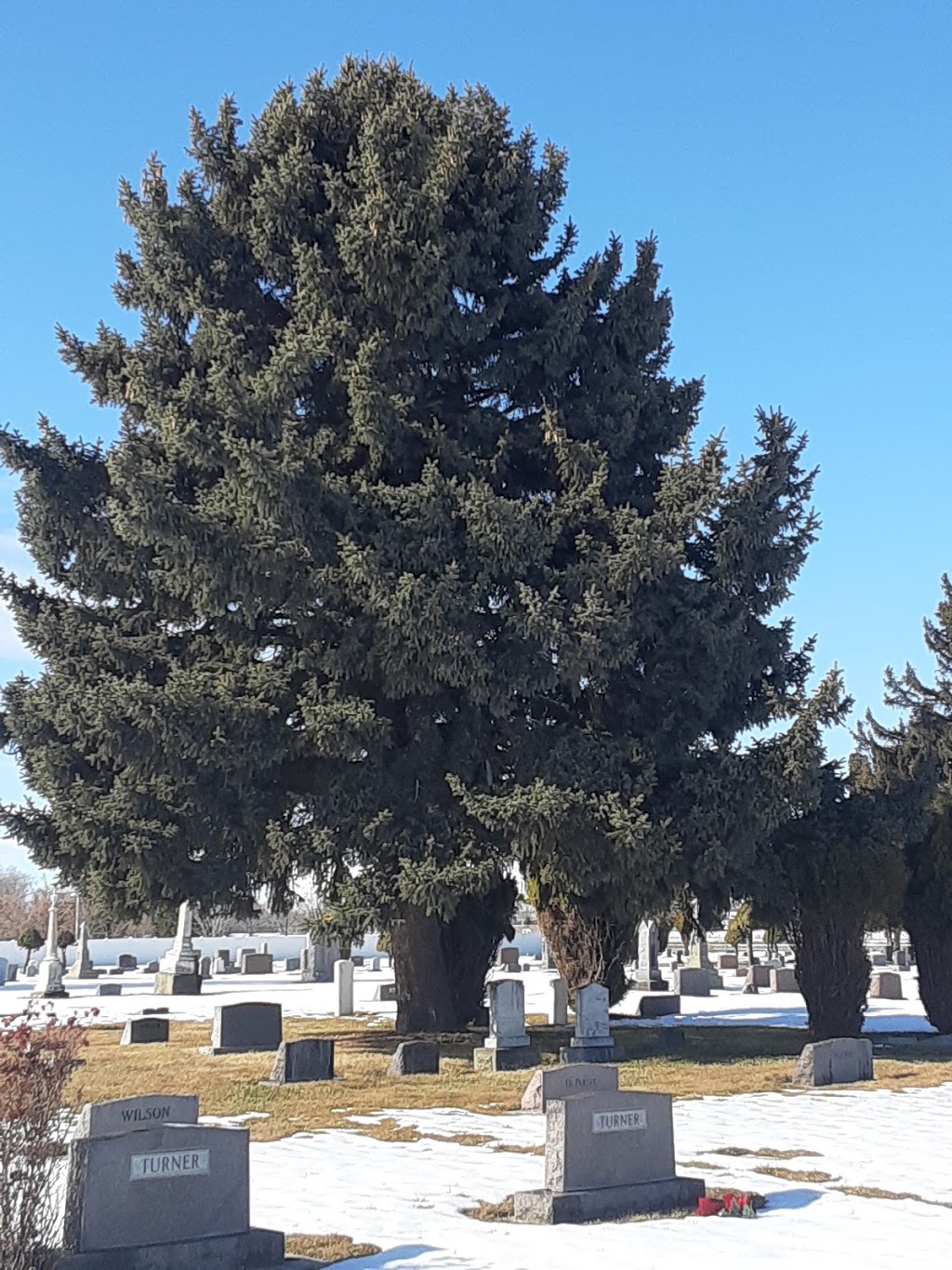 Star Cemetery Maintenance District | 9350 W Floating Feather Rd, Star, ID 83669, USA | Phone: (208) 286-7192