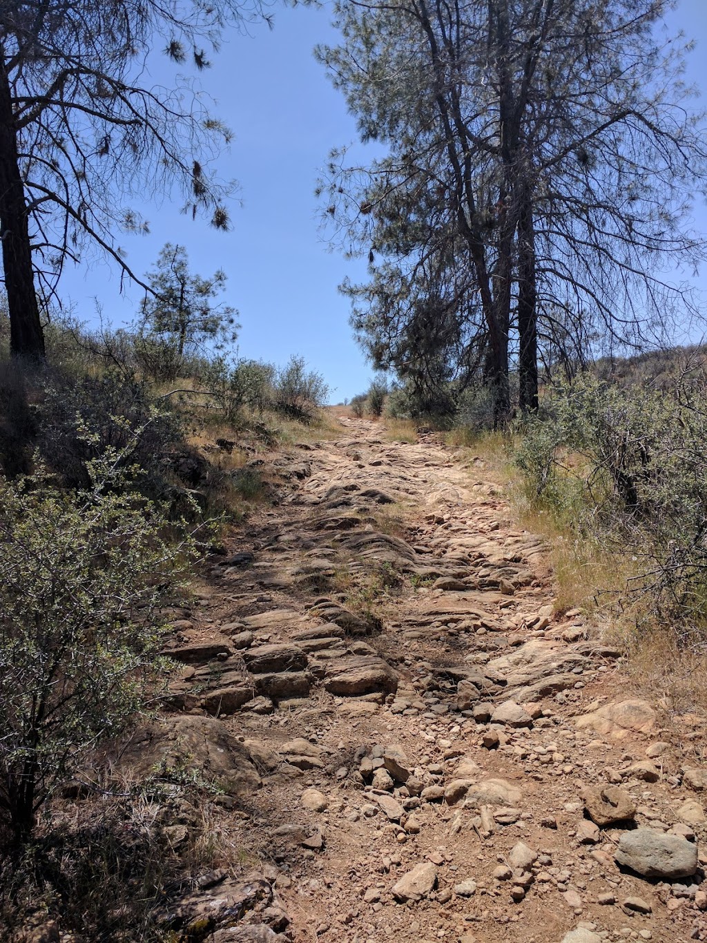 Red Hills Recreation Management Area | Red Hill Rd, Jamestown, CA 95327, USA | Phone: (916) 941-3101