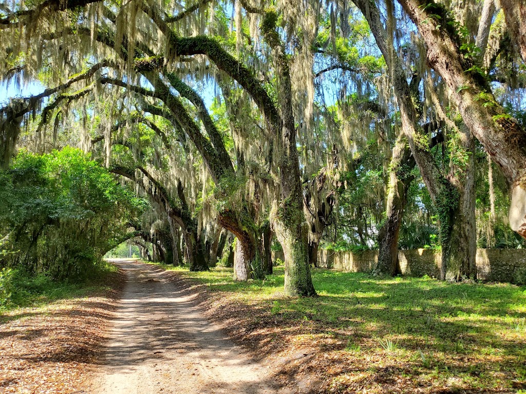 Stafford Beach Campground | Cumberland Island, St Marys, GA 31558, USA | Phone: (218) 820-0362