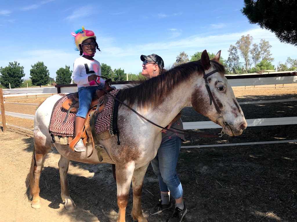 Circle T Ranch | 20010 Fargo Ave, Lemoore, CA 93245, USA | Phone: (559) 288-9537